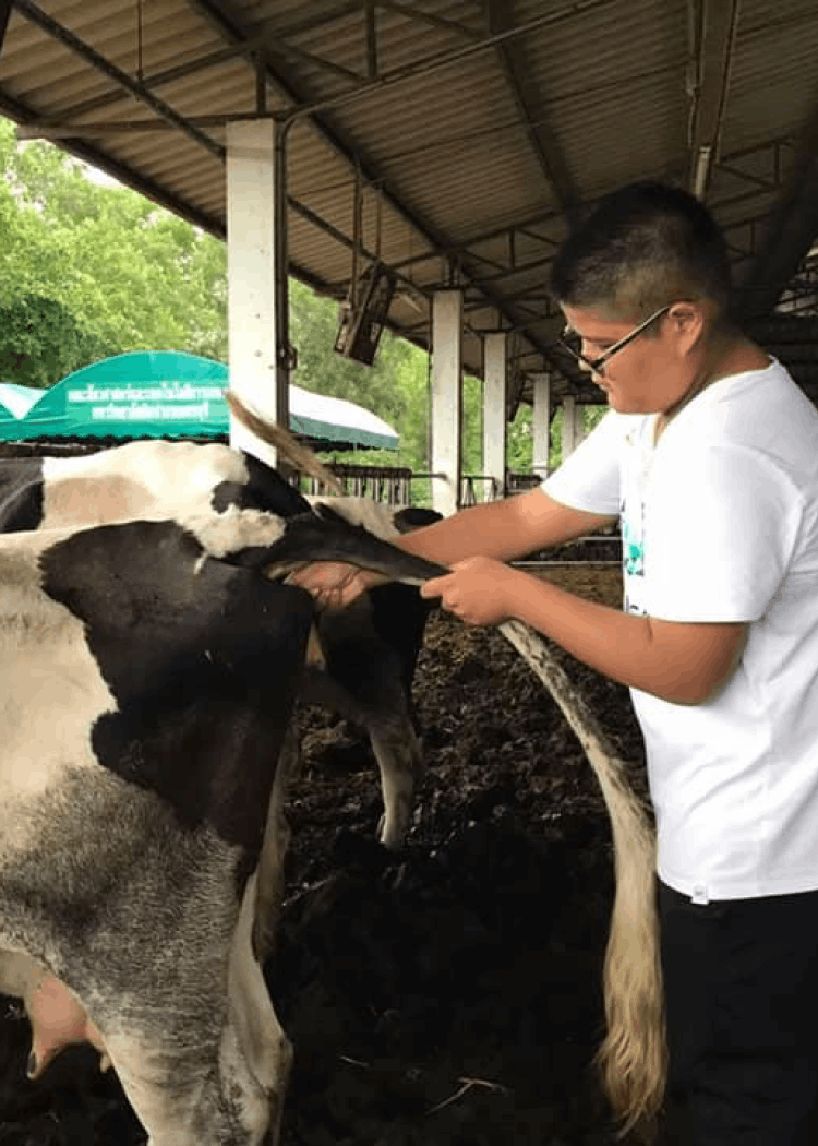 Faculty of Animal Sciences and Agricultural Technology gallery - 1