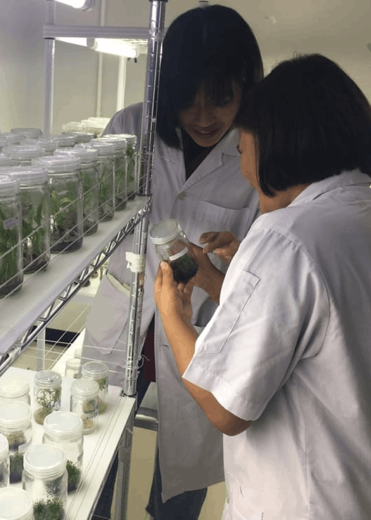 Faculty of Animal Sciences and Agricultural Technology gallery - 10