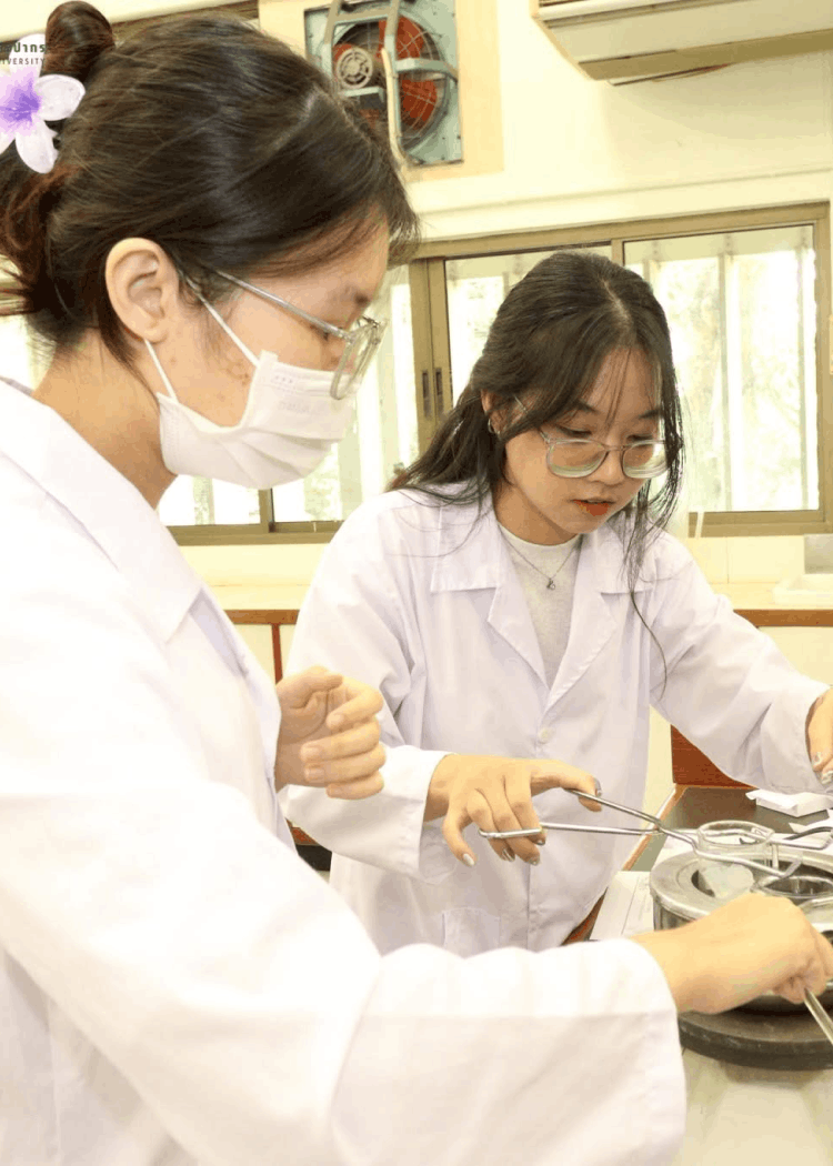 Faculty of Pharmacy gallery - 10