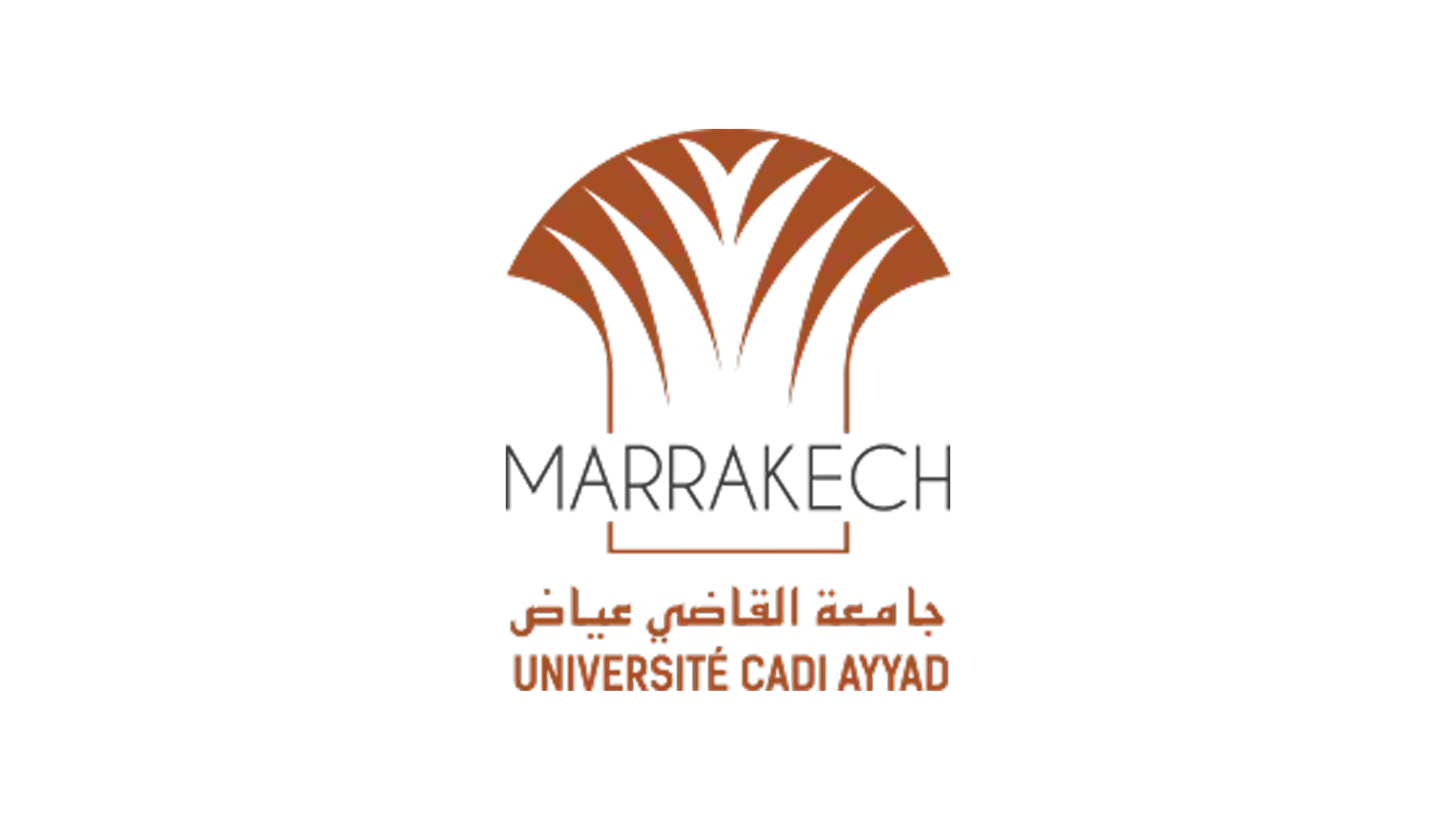 Cadi Ayyad University