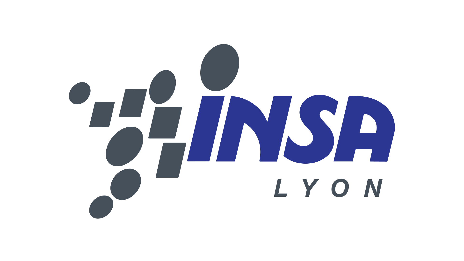 Institut National des Sciences Appliquues de Lyon